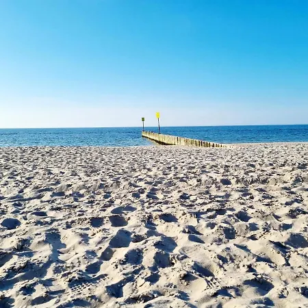 Seaside Czarna Mewa